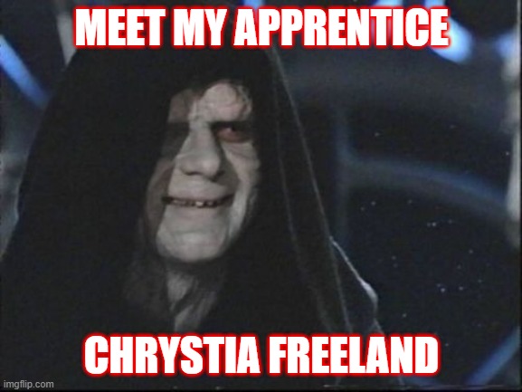 Apprentice Chrystia Freeland | MEET MY APPRENTICE; CHRYSTIA FREELAND | image tagged in darth sidious | made w/ Imgflip meme maker