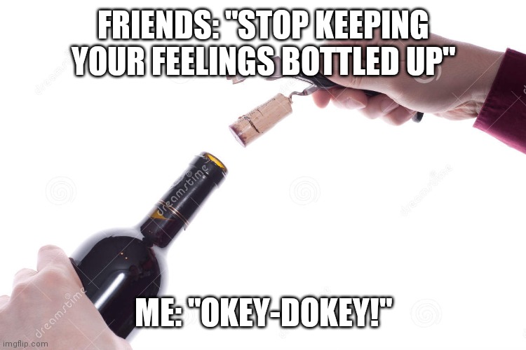 Feelings | FRIENDS: "STOP KEEPING YOUR FEELINGS BOTTLED UP"; ME: "OKEY-DOKEY!" | image tagged in feelings,wine | made w/ Imgflip meme maker
