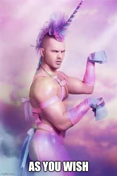 Gay Unicorn | AS YOU WISH | image tagged in gay unicorn | made w/ Imgflip meme maker