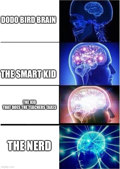 Nerds | DODO BIRD BRAIN; THE SMART KID; THE KID THAT DOES THE TEACHERS TAXES; THE NERD | image tagged in memes,expanding brain | made w/ Imgflip meme maker