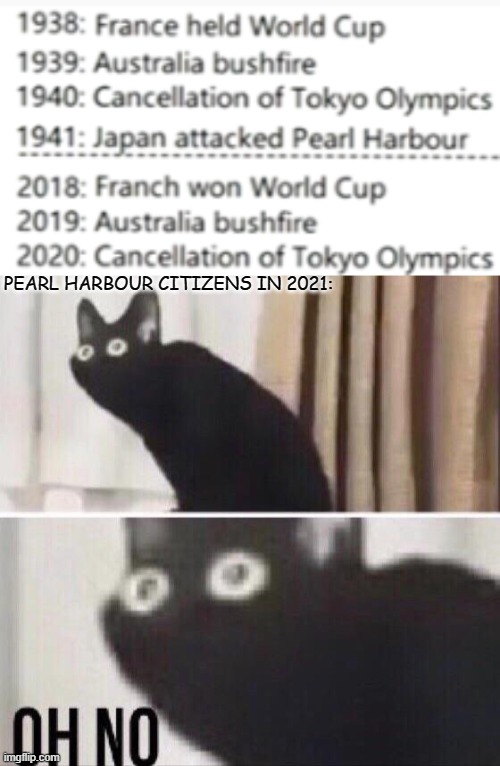 Oh no cat | PEARL HARBOUR CITIZENS IN 2021: | image tagged in memes,funny,oh no black cat | made w/ Imgflip meme maker