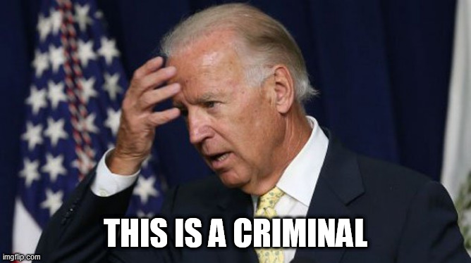 Joe Biden worries | THIS IS A CRIMINAL | image tagged in joe biden worries | made w/ Imgflip meme maker