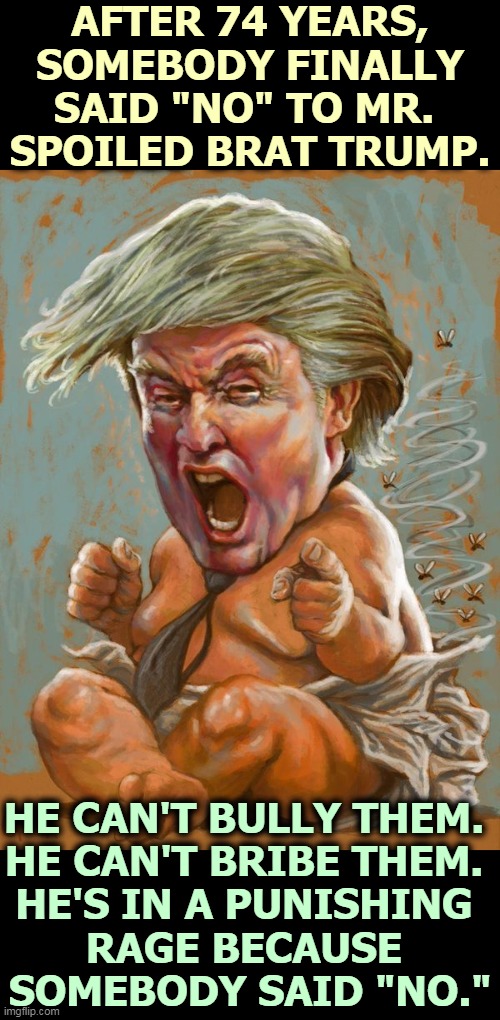 He's such an effing infant. | AFTER 74 YEARS, SOMEBODY FINALLY SAID "NO" TO MR. 
SPOILED BRAT TRUMP. HE CAN'T BULLY THEM. 
HE CAN'T BRIBE THEM. 
HE'S IN A PUNISHING 
RAGE BECAUSE 
SOMEBODY SAID "NO." | image tagged in trump,mad,insane,frustrated,bully,loser | made w/ Imgflip meme maker