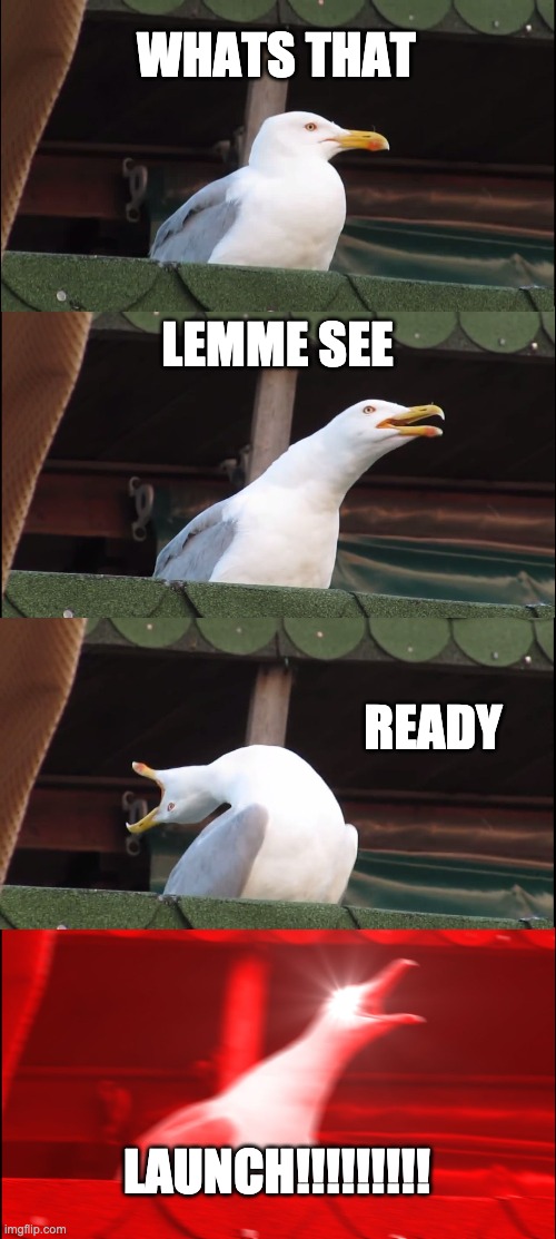 Inhaling Seagull Meme | WHATS THAT; LEMME SEE; READY; LAUNCH!!!!!!!!! | image tagged in memes,inhaling seagull | made w/ Imgflip meme maker