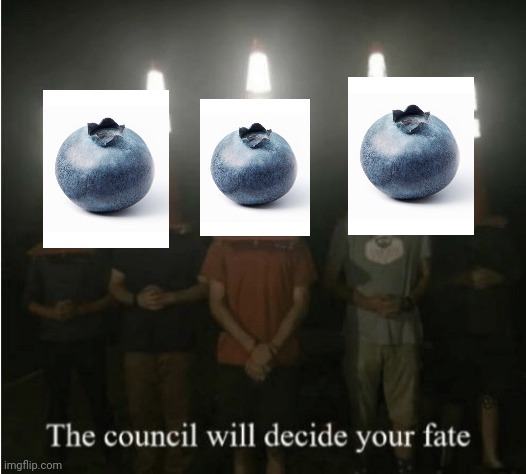 The council will decide your fate | image tagged in the council will decide your fate | made w/ Imgflip meme maker