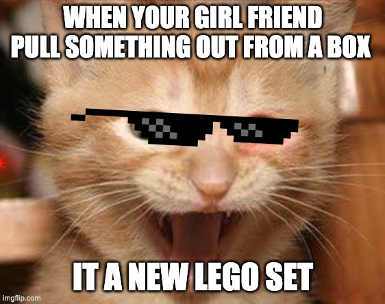 Excited Cat | WHEN YOUR GIRL FRIEND PULL SOMETHING OUT FROM A BOX; IT A NEW LEGO SET | image tagged in memes,excited cat | made w/ Imgflip meme maker