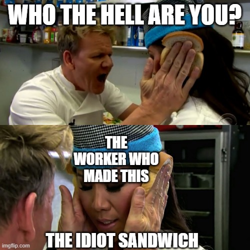 Gordon Ramsay Idiot Sandwich | WHO THE HELL ARE YOU? THE IDIOT SANDWICH THE WORKER WHO MADE THIS | image tagged in gordon ramsay idiot sandwich | made w/ Imgflip meme maker