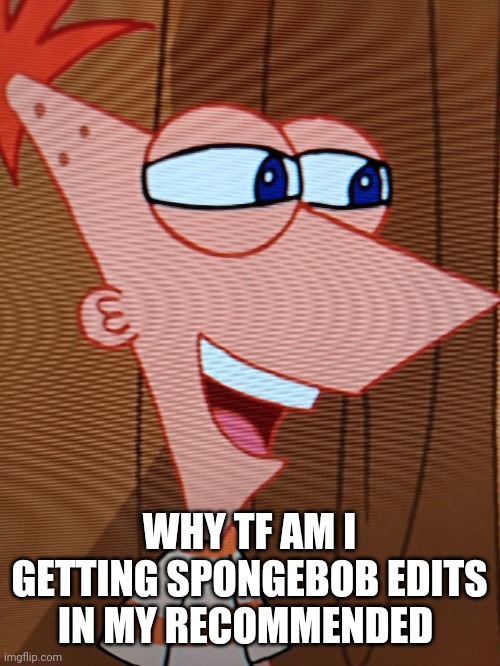 Peepin' Phineas | WHY TF AM I GETTING SPONGEBOB EDITS IN MY RECOMMENDED | image tagged in peepin' phineas | made w/ Imgflip meme maker