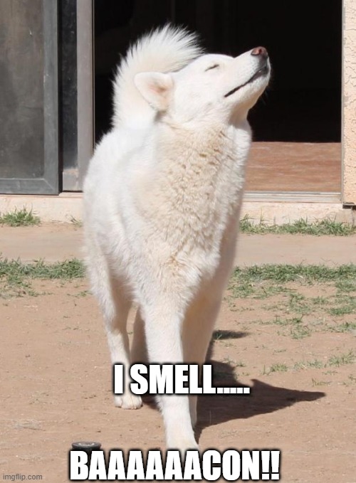 You smell what the wolf is cooking | I SMELL..... BAAAAAACON!! | image tagged in you smell what the wolf is cooking | made w/ Imgflip meme maker