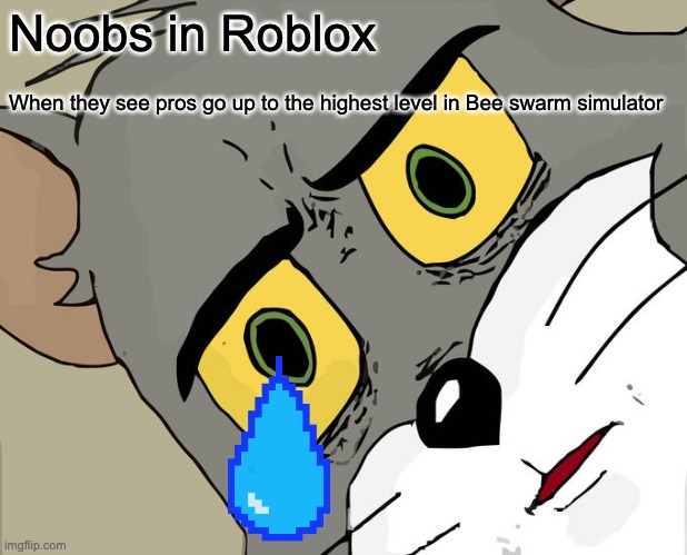 Unsettled Tom | Noobs in Roblox; When they see pros go up to the highest level in Bee swarm simulator | image tagged in memes,unsettled tom | made w/ Imgflip meme maker