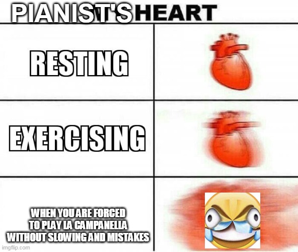 Anatomy X Music | PIANIST'S; WHEN YOU ARE FORCED TO PLAY LA CAMPANELLA WITHOUT SLOWING AND MISTAKES | image tagged in my heart | made w/ Imgflip meme maker