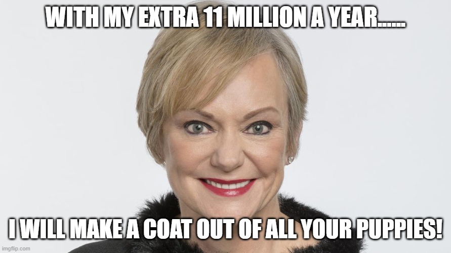 Christie McCarthey looks like Cruella De Vil | WITH MY EXTRA 11 MILLION A YEAR...... I WILL MAKE A COAT OUT OF ALL YOUR PUPPIES! | image tagged in christie mccarthy,disney cfo,disney,disney cfo 11 million bonus | made w/ Imgflip meme maker
