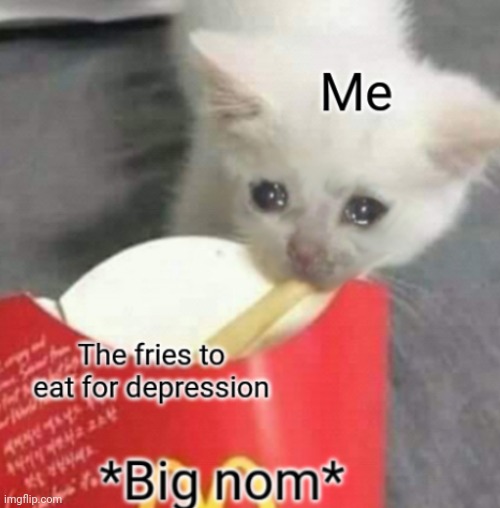 Updated Version Of Happy Fries (the link to the template is down in the comments) | image tagged in happy fries | made w/ Imgflip meme maker