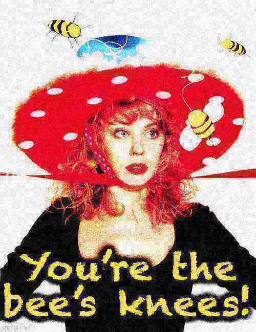 Kylie you’re the bee’s knees deep-fried Blank Meme Template