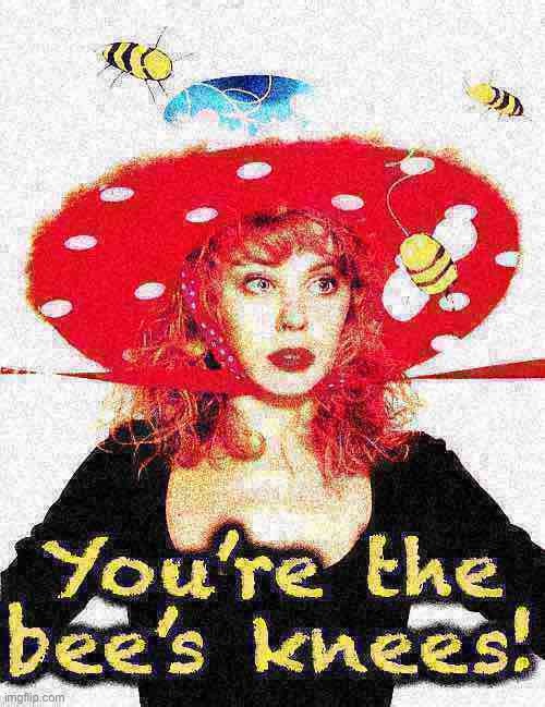 Kylie you’re the bee’s knees deep-fried | image tagged in kylie you re the bee s knees deep-fried | made w/ Imgflip meme maker