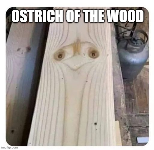 OSTRICH OF THE WOOD | made w/ Imgflip meme maker