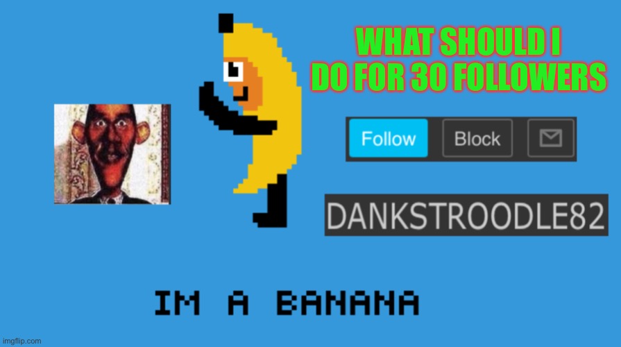 DaNkStRoOdLe69 | WHAT SHOULD I DO FOR 30 FOLLOWERS | image tagged in dankstroodle82 | made w/ Imgflip meme maker