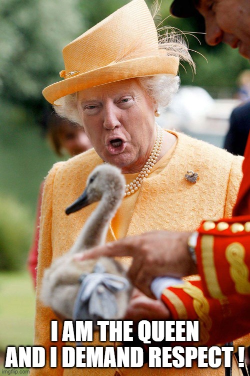 Queen Trump |  I AM THE QUEEN AND I DEMAND RESPECT ! | image tagged in queen,donald trump approves,dickhead | made w/ Imgflip meme maker
