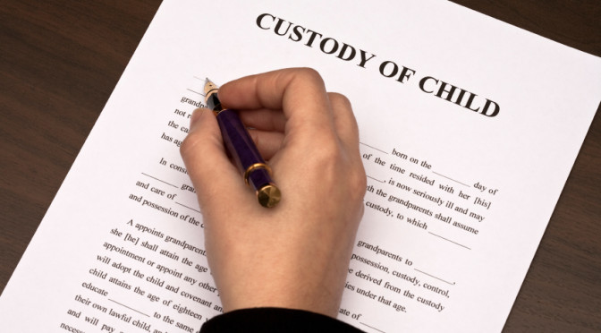 Custody of Child Blank Meme Template