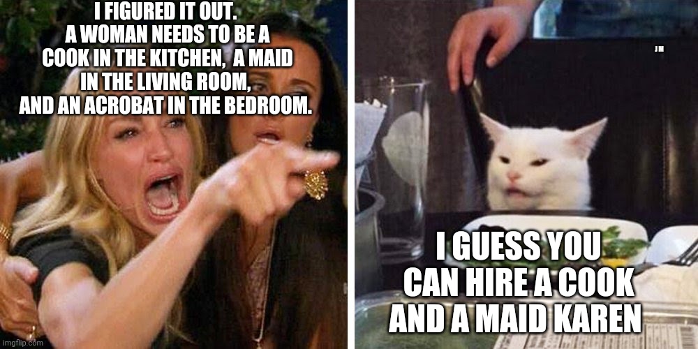 Smudge the cat | I FIGURED IT OUT.  A WOMAN NEEDS TO BE A COOK IN THE KITCHEN,  A MAID IN THE LIVING ROOM,  AND AN ACROBAT IN THE BEDROOM. J M; I GUESS YOU CAN HIRE A COOK AND A MAID KAREN | image tagged in smudge the cat | made w/ Imgflip meme maker