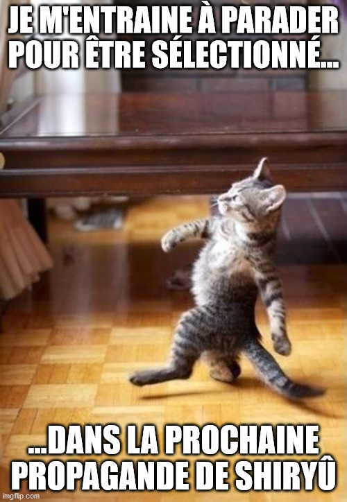 Cool Cat Stroll Meme | JE M'ENTRAINE À PARADER POUR ÊTRE SÉLECTIONNÉ... ...DANS LA PROCHAINE PROPAGANDE DE SHIRYÛ | image tagged in memes,cool cat stroll | made w/ Imgflip meme maker