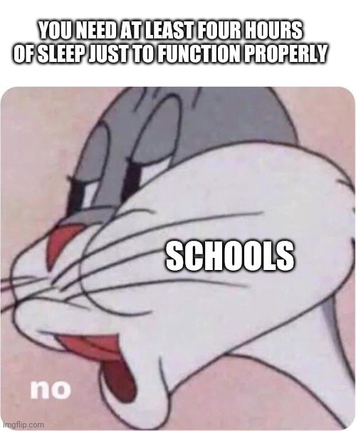Bugs Bunny No | YOU NEED AT LEAST FOUR HOURS OF SLEEP JUST TO FUNCTION PROPERLY; SCHOOLS | image tagged in bugs bunny no | made w/ Imgflip meme maker