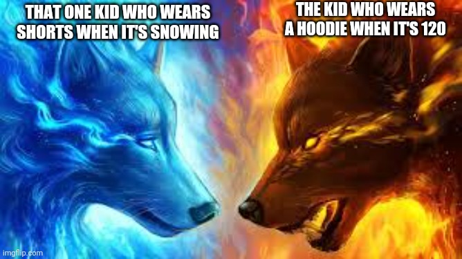 fire ice | THE KID WHO WEARS A HOODIE WHEN IT'S 120; THAT ONE KID WHO WEARS SHORTS WHEN IT'S SNOWING | image tagged in fire ice | made w/ Imgflip meme maker