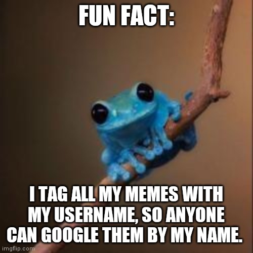 Fun Fact Frog | FUN FACT:; I TAG ALL MY MEMES WITH MY USERNAME, SO ANYONE CAN GOOGLE THEM BY MY NAME. | image tagged in fun fact frog,fun fact,awesome,awesomeness,interesting,brimmuthafukinstone | made w/ Imgflip meme maker