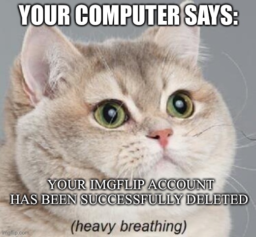Unfortunate Mishap | YOUR COMPUTER SAYS:; YOUR IMGFLIP ACCOUNT HAS BEEN SUCCESSFULLY DELETED | image tagged in memes,heavy breathing cat | made w/ Imgflip meme maker