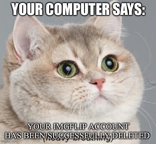 Unfortunate Mishap | YOUR COMPUTER SAYS:; YOUR IMGFLIP ACCOUNT HAS BEEN SUCCESSFULLY DELETED | image tagged in memes,heavy breathing cat | made w/ Imgflip meme maker