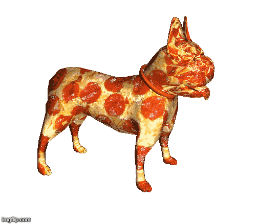 pizza dog shirt