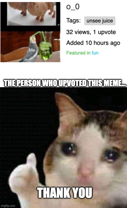 Thank you | THE PERSON WHO UPVOTED THIS MEME…; THANK YOU | image tagged in memes,thank you | made w/ Imgflip meme maker