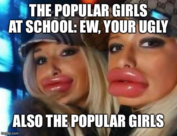 The stereotypical popular girls at high school | THE POPULAR GIRLS AT SCHOOL: EW, YOUR UGLY; ALSO THE POPULAR GIRLS | image tagged in memes,duck face chicks | made w/ Imgflip meme maker