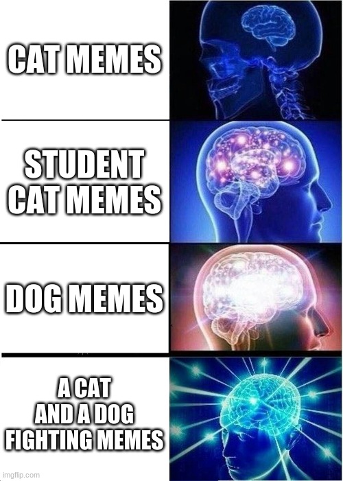 Expanding Brain Meme | CAT MEMES; STUDENT CAT MEMES; DOG MEMES; A CAT AND A DOG FIGHTING MEMES | image tagged in memes,expanding brain | made w/ Imgflip meme maker