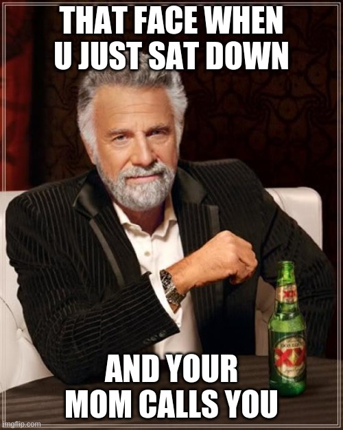 The Most Interesting Man In The World Meme | THAT FACE WHEN U JUST SAT DOWN; AND YOUR MOM CALLS YOU | image tagged in memes,the most interesting man in the world | made w/ Imgflip meme maker