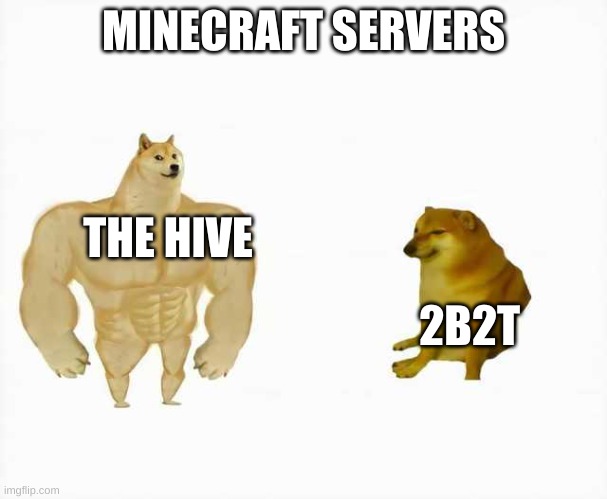 Strong dog vs weak dog | MINECRAFT SERVERS; THE HIVE; 2B2T | image tagged in strong dog vs weak dog | made w/ Imgflip meme maker