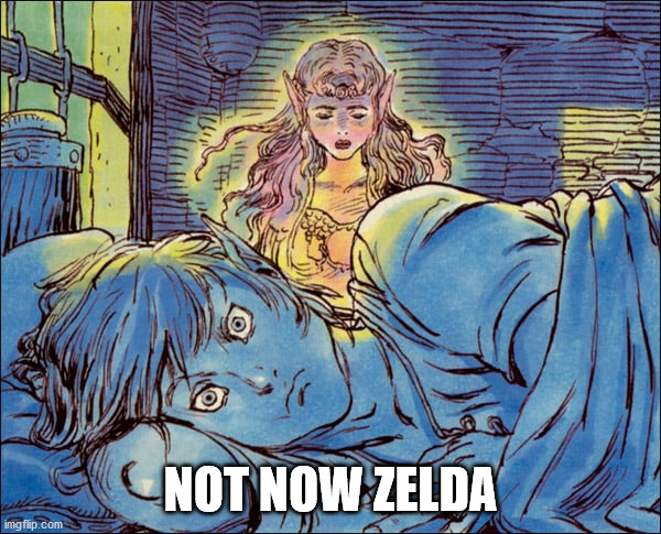 Not Now Zelda | NOT NOW ZELDA | image tagged in zelda,legend of zelda,the legend of zelda,link | made w/ Imgflip meme maker
