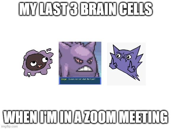 Mhm | MY LAST 3 BRAIN CELLS; WHEN I'M IN A ZOOM MEETING | image tagged in blank white template,ghg memes | made w/ Imgflip meme maker