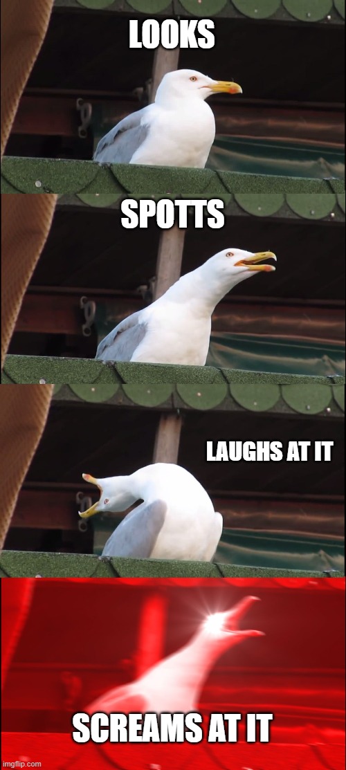 Inhaling Seagull | LOOKS; SPOTTS; LAUGHS AT IT; SCREAMS AT IT | image tagged in memes,inhaling seagull | made w/ Imgflip meme maker