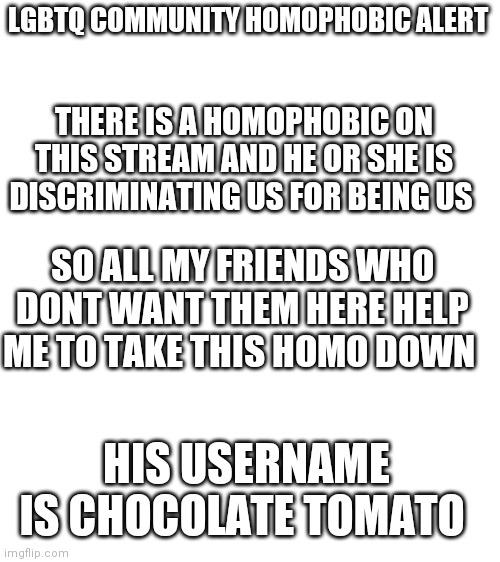 Blank White Template | LGBTQ COMMUNITY HOMOPHOBIC ALERT; THERE IS A HOMOPHOBIC ON THIS STREAM AND HE OR SHE IS DISCRIMINATING US FOR BEING US; SO ALL MY FRIENDS WHO DONT WANT THEM HERE HELP ME TO TAKE THIS HOMO DOWN; HIS USERNAME IS CHOCOLATE TOMATO | image tagged in blank white template | made w/ Imgflip meme maker