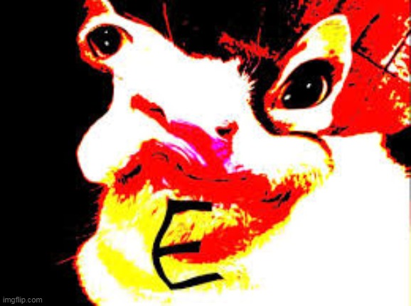 s n a i l c a t | made w/ Imgflip meme maker