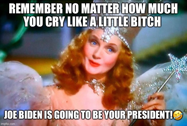 REMEMBER NO MATTER HOW MUCH YOU CRY LIKE A LITTLE BITCH; JOE BIDEN IS GOING TO BE YOUR PRESIDENT!🤣 | image tagged in joe biden,donald trump,trump supporters,kamala harris,election 2020,glenda the good witch | made w/ Imgflip meme maker