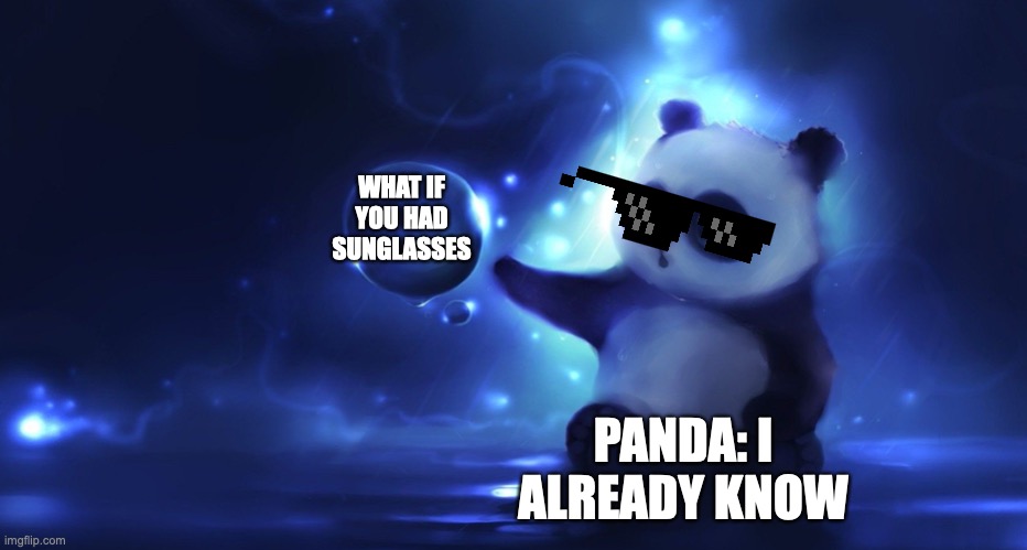 idea panda | WHAT IF YOU HAD SUNGLASSES; PANDA: I ALREADY KNOW | image tagged in idea panda | made w/ Imgflip meme maker