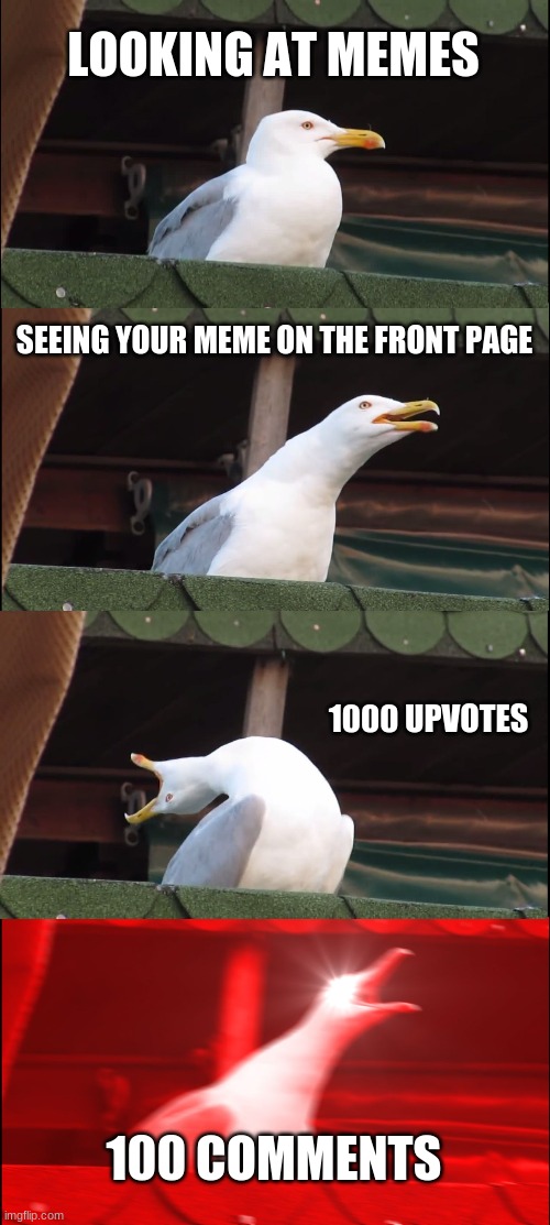 Inhaling Seagull | LOOKING AT MEMES; SEEING YOUR MEME ON THE FRONT PAGE; 1000 UPVOTES; 100 COMMENTS | image tagged in memes,inhaling seagull | made w/ Imgflip meme maker