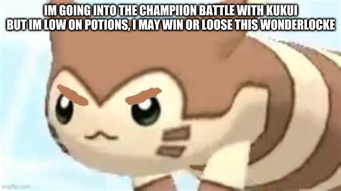 angry furret | IM GOING INTO THE CHAMPIION BATTLE WITH KUKUI BUT IM LOW ON POTIONS, I MAY WIN OR LOOSE THIS WONDERLOCKE | image tagged in angry furret | made w/ Imgflip meme maker