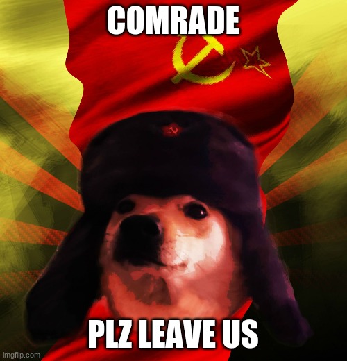 Comrade Doge | COMRADE PLZ LEAVE US | image tagged in comrade doge | made w/ Imgflip meme maker