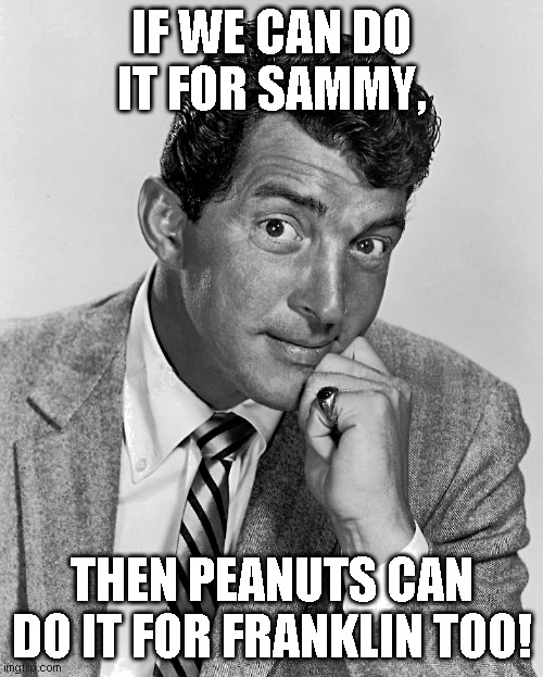 funny | IF WE CAN DO IT FOR SAMMY, THEN PEANUTS CAN DO IT FOR FRANKLIN TOO! | image tagged in funny | made w/ Imgflip meme maker