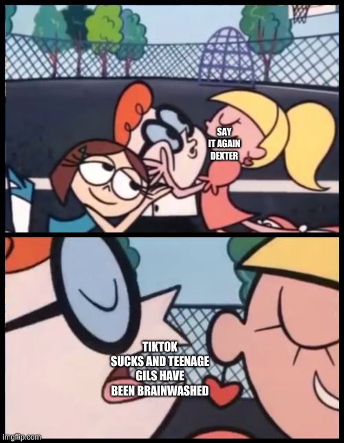 Say it Again, Dexter | SAY IT AGAIN DEXTER; TIKTOK SUCKS AND TEENAGE GILS HAVE BEEN BRAINWASHED | image tagged in memes,say it again dexter | made w/ Imgflip meme maker