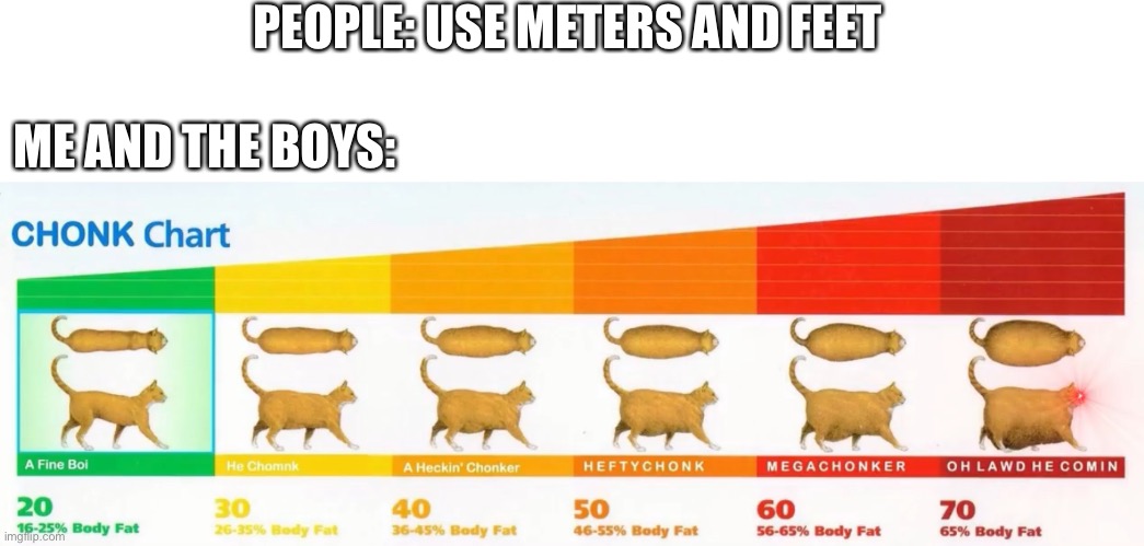 PEOPLE: USE METERS AND FEET; ME AND THE BOYS: | image tagged in chock chart | made w/ Imgflip meme maker