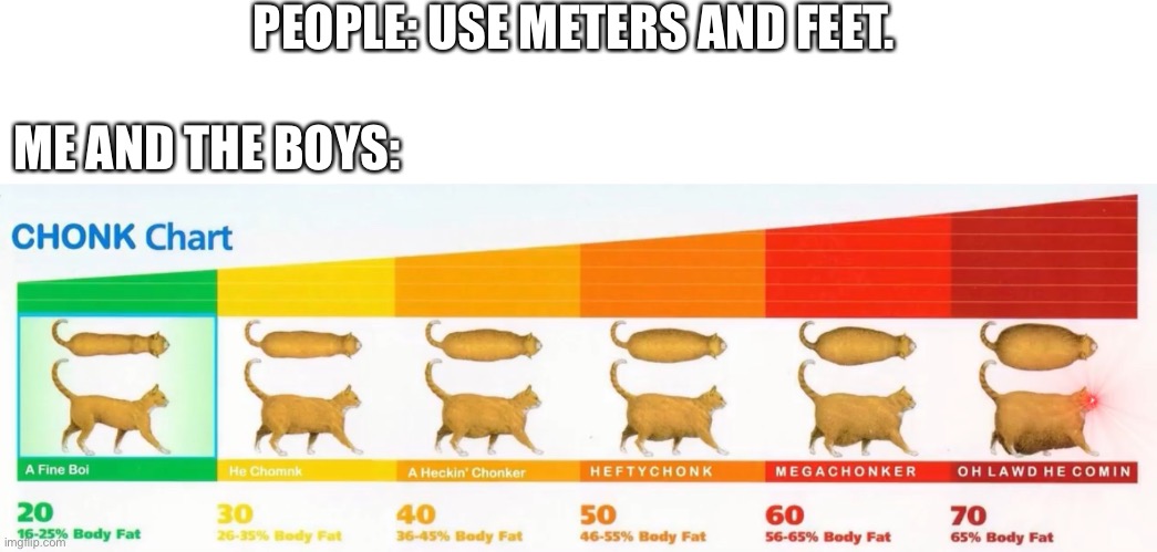 PEOPLE: USE METERS AND FEET. ME AND THE BOYS: | image tagged in chock chart | made w/ Imgflip meme maker